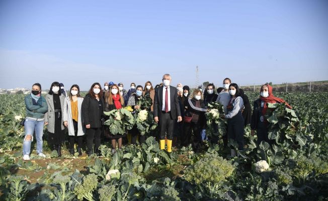 Büyükşehir’den tarımsal kalkınmaya destek