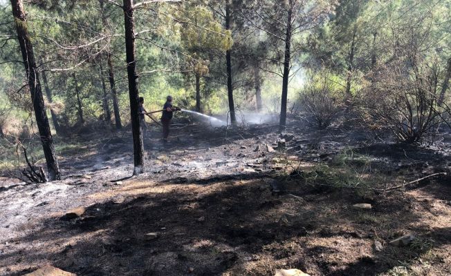 Adana OBM yangınlara karşı hazır