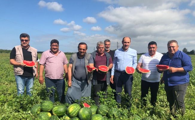 Adana’da karpuz hasadı başladı