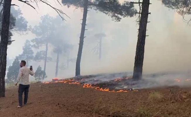 Pozantı’da orman yangını