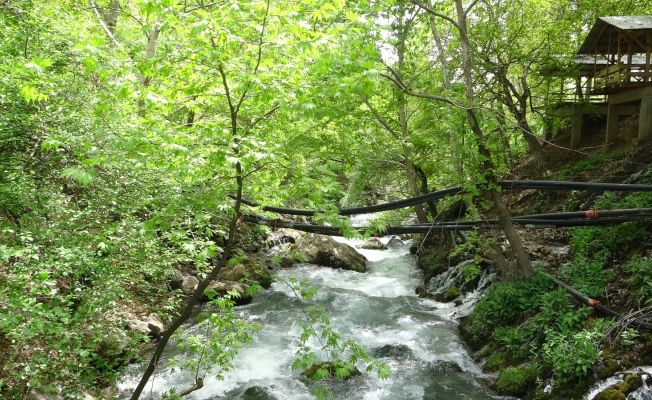 Gizli doğa cenneti ’Pağnık’ keşfedilmeyi bekliyor