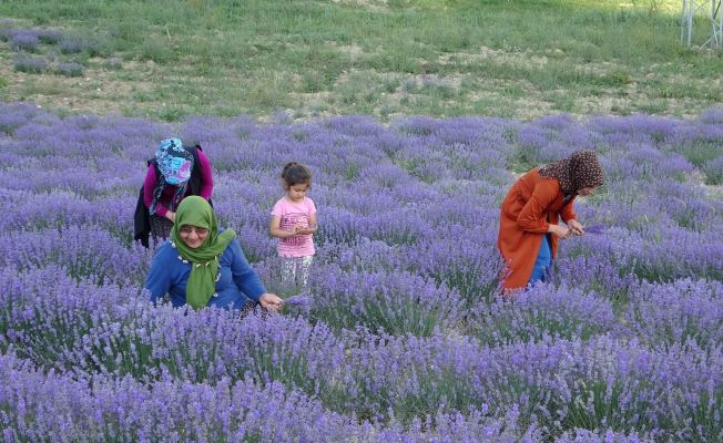 Kadınlar birlik oldu, Tapan turizmin gözdesi