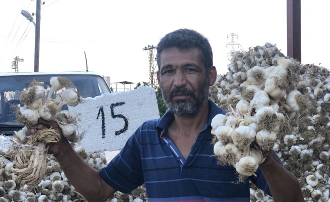 Sarımsakta üretim arttı fiyat düştü