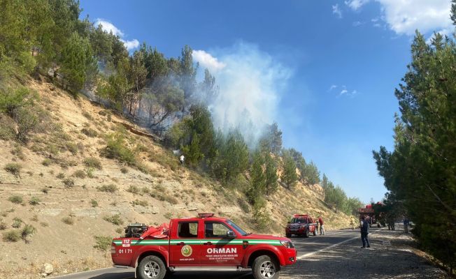 Adana’da orman yangını