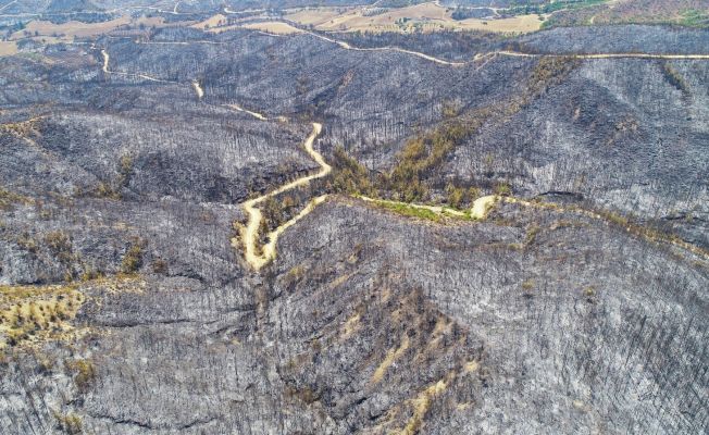 Aladağ’da yanan ormanlık alanlar drone ile görüntülendi