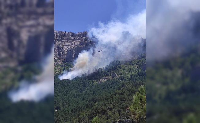 Feke’de orman yangını