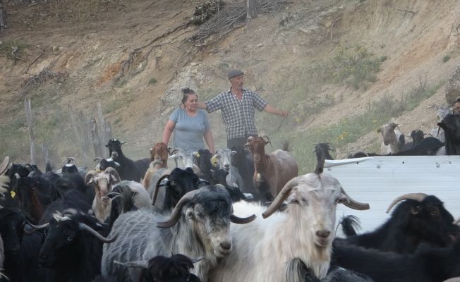 Köyün Azeri hamarat gelini