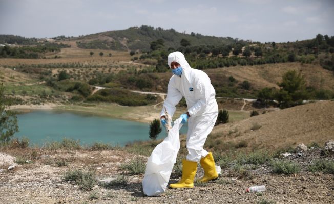 Ölüme terk edilen civcivler toplanmaya başlandı