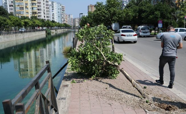 Sulama kanalına düşen otomobildeki 2 kişi yüzerek kurtuldu