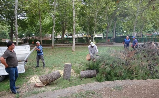 Kozan’da sağanak ve dolu yağışı etkili oldu