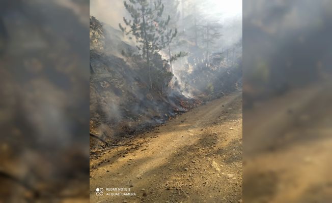 Adana’da orman yangını