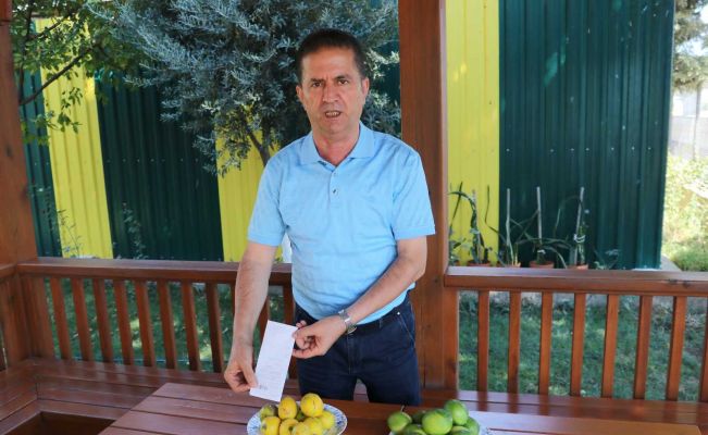 Çiftçinin çöpe attığı ıskarta limon marketlerde 6 lira