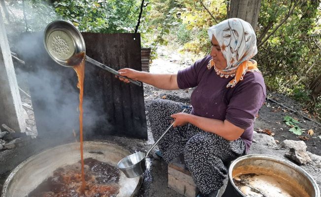 Toroslarda son pekmez kazanları kaynadı