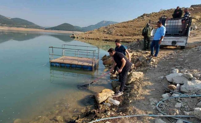 Kuruyan deredeki yavru balıklar kurtarıldı