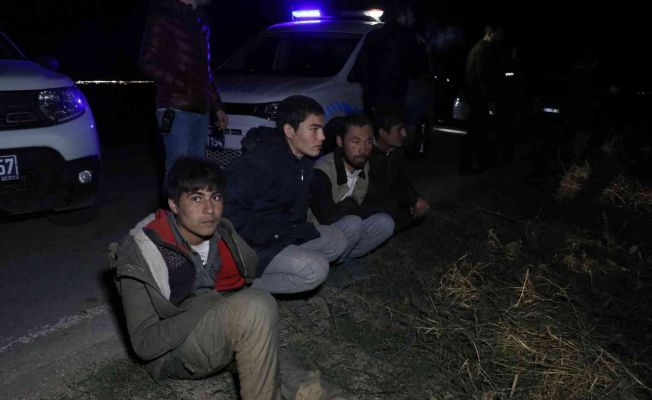 Kaçak göçmen taşıyan minibüs polisten kaçarken pamuk tarlasına devrildi