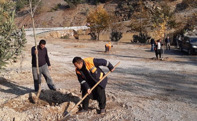 Yangın bölgesinde mesire alanı oluşturuldu