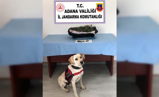 Adana’da uyuşturucu operasyonu: 2 gözaltı