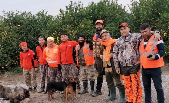 Domuzlardan bıkan üreticiler, avcılardan yardım istedi