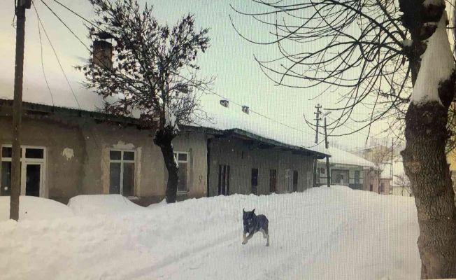 Tufanbeyli Sibirya gibi, işçi servisi tipide yolda kaldı