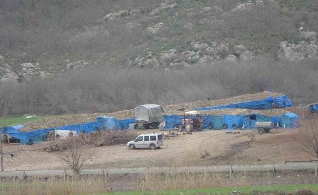 Koyunu kurtarmak isteyen çobanın feci ölümü