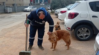 Sokak hayvanları temizlik görevlisinin en yakın dostu oldu