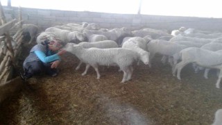 Yolu kapatılan besici kadın açlık grevine başladı