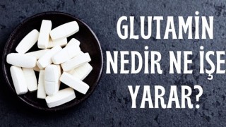 Glutamin Nedir?