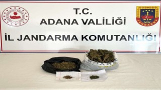 Adana’da uyuşturucu operasyonu: 1 gözaltı