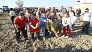 Buğday tohumları toprakla buluşturuldu