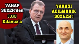 MERSİNLİLER SİZİ YALAKALIK YAPIN DİYE Mİ ANKARA'YA GÖNDERDİ?