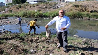 At kemikleri, ölü hayvanlar ve lağım suyu arasında kurbağa avı