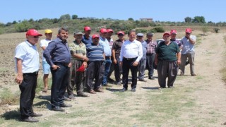 Mevsimlik işçi sorunu narenciye hasadını sekteye uğratıyor