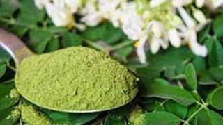 Moringa çayının faydaları | Her derde deva | Bir ölüme çaresi yok!