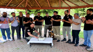 Narkotik köpeği Hulk’un 7’nci yaş günü pasta kesilerek kutlandı