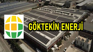 Adanalı enerji devi 'Batık değiliz' dedi, konkordato İstedi