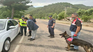 Saimbeyli ve Feke ziyaretçi akınına uğradı