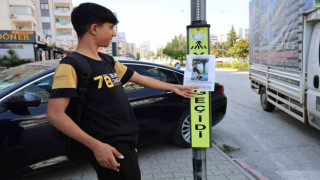 "Şerefsizdir, gördüğünüz yerde suratına tükürün"