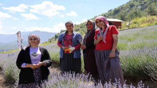 Tarlalar Feke'de mor gelinliğini giydi, ziyaretçi için geri sayım başladı