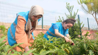 Adana Gençlik Merkezi üretiyor, çocuklar afiyetle yiyor