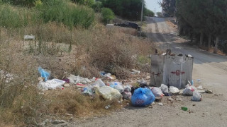 100. Yıl sakinleri feryat ediyor: Çöpler yığıldı, kokudan durulmuyor, Köpek sürüleri kol geziyor. Büyükşehir Neredesin?