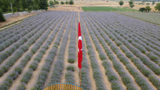 Feke'li üreticiler sahte ürünlere karşı uyardı