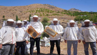 Adana’da bal hasadı başladı