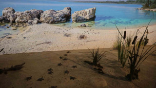 ‘Çukurova Biyoçeşitlilik Tanıtım Merkezi’ ziyaretçi akınına uğruyor