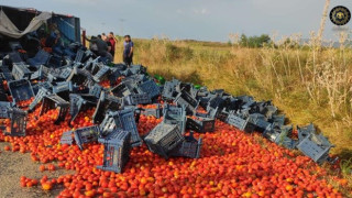 Kozan'da domates yüklü kamyonet devrildi, "Şoför keşke bedava dağıtsaydım" dedi