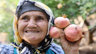 Tescilli Kozan Kuytucak narı bahçede 20 lira