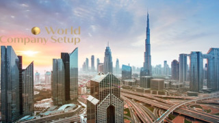 Dubai’de Sektörel İzin Süreçlerinde Profesyonel Rehberiniz: World Company Setup