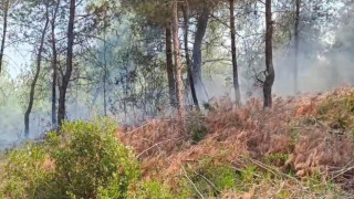 İmamoğlu'da orman yangını kontrol altına alındı