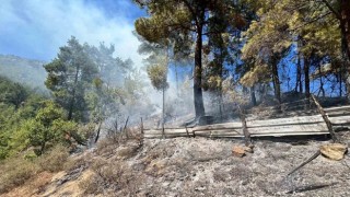 Feke'de Orman Yangını